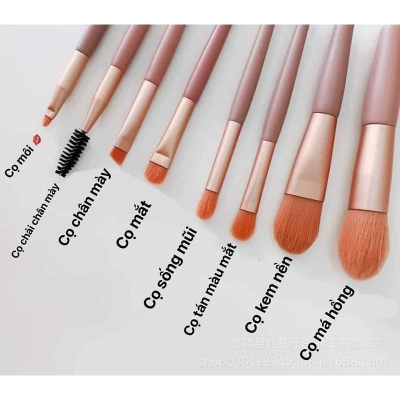 Set 8 Cọ Trang Điểm Đa Năng Miota Tiện Lợi Dễ Sử Dụng