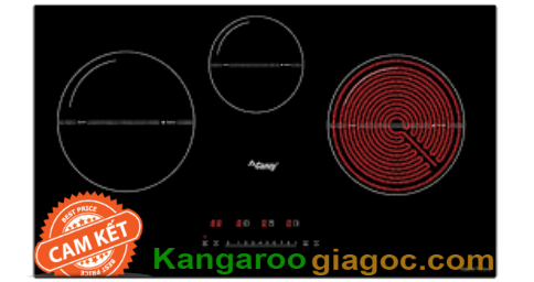 CZ-67GP, Bếp điện từ Canzy CZ-67GP