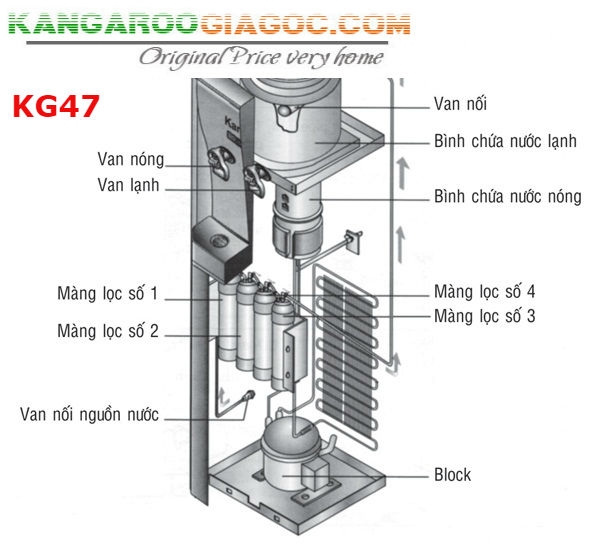 kangaroo kg47