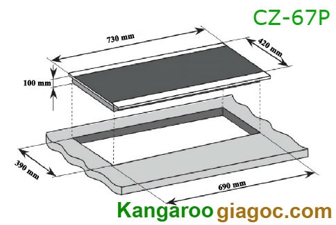 Bếp từ Canzy CZ 67P