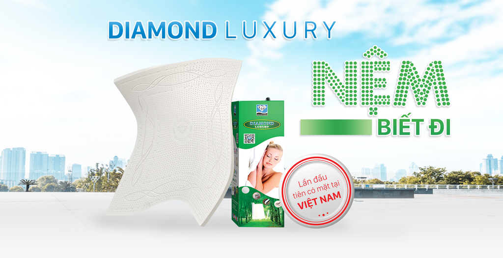 NỆM CAO SU KIM CƯƠNG 2 MẶT LỖ – DIAMOND LUXURY