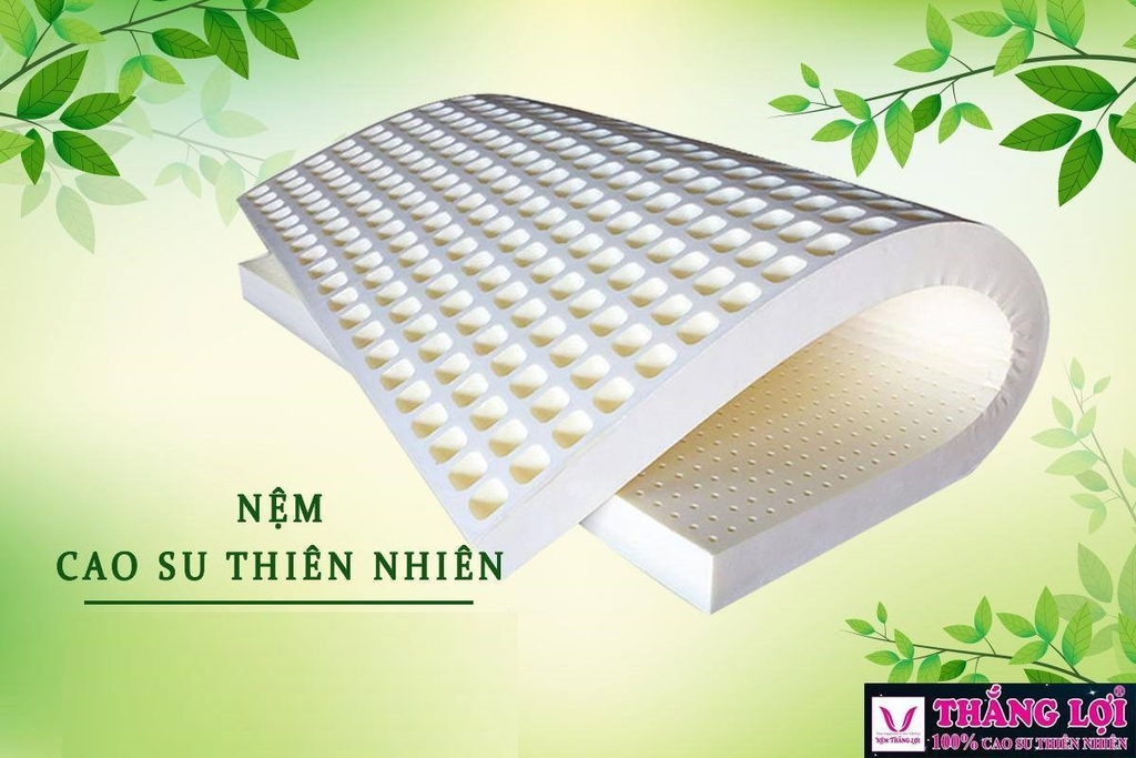 NỆM CAO SU THIÊN NHIÊN THẮNG LỢI