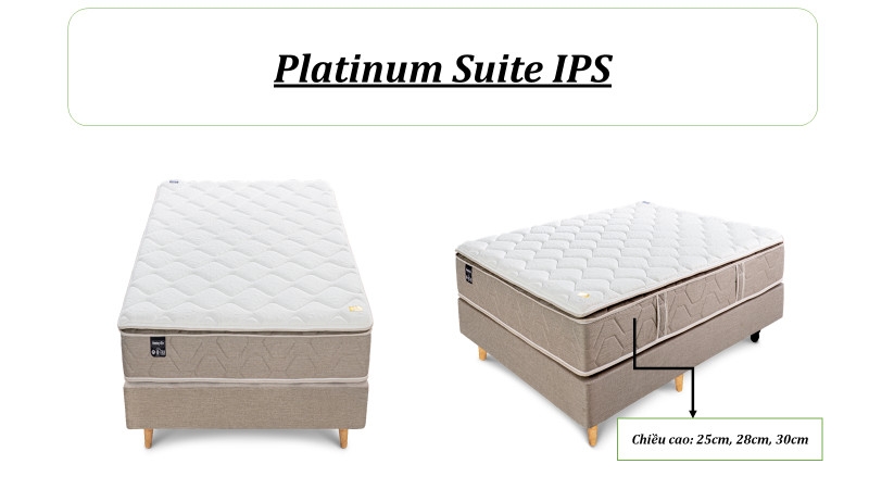 Nệm Lò Xo Túi Độc Lập IPS Lót Cao Su Dunlopillo - Platinum Suite | Chuyên Dùng Cho Khách Sạn