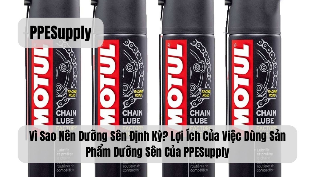 Vì Sao Nên Dưỡng Sên Định Kỳ? Lợi Ích Của Việc Dùng Sản Phẩm Dưỡng Sên Của PPESupply