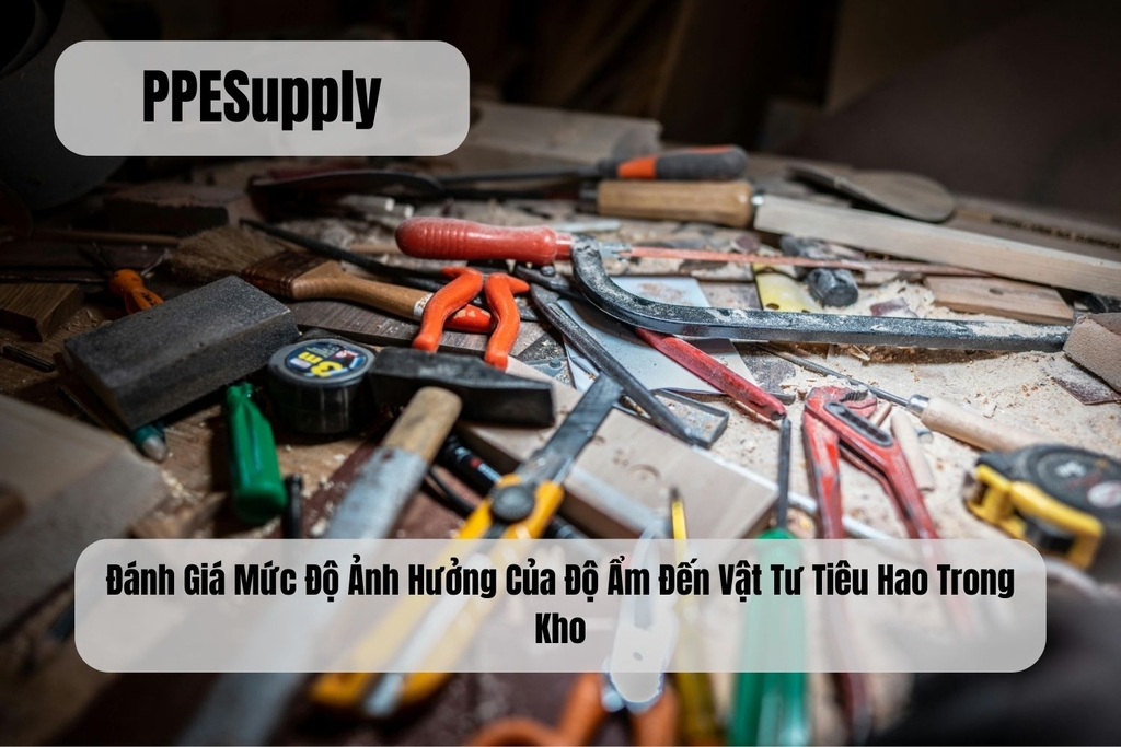 Đánh Giá Mức Độ Ảnh Hưởng Của Độ Ẩm Đến Vật Tư Tiêu Hao Trong Kho