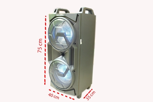 Loa kéo Di Động A/D/S TCI208D (Bass 20 x 2)