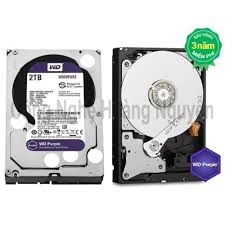 Ổ CỨNG WD PURPLE 2TB WD20PURZ