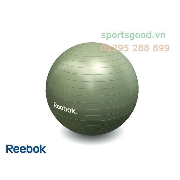 Bóng tập Aerobic 55cm RE0-11015SB