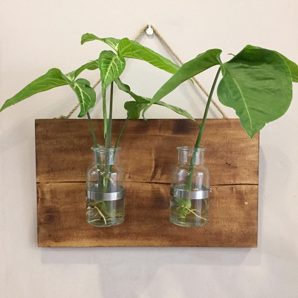 Bảng gỗ gắn bình thủy tinh treo tường (Loại đôi)