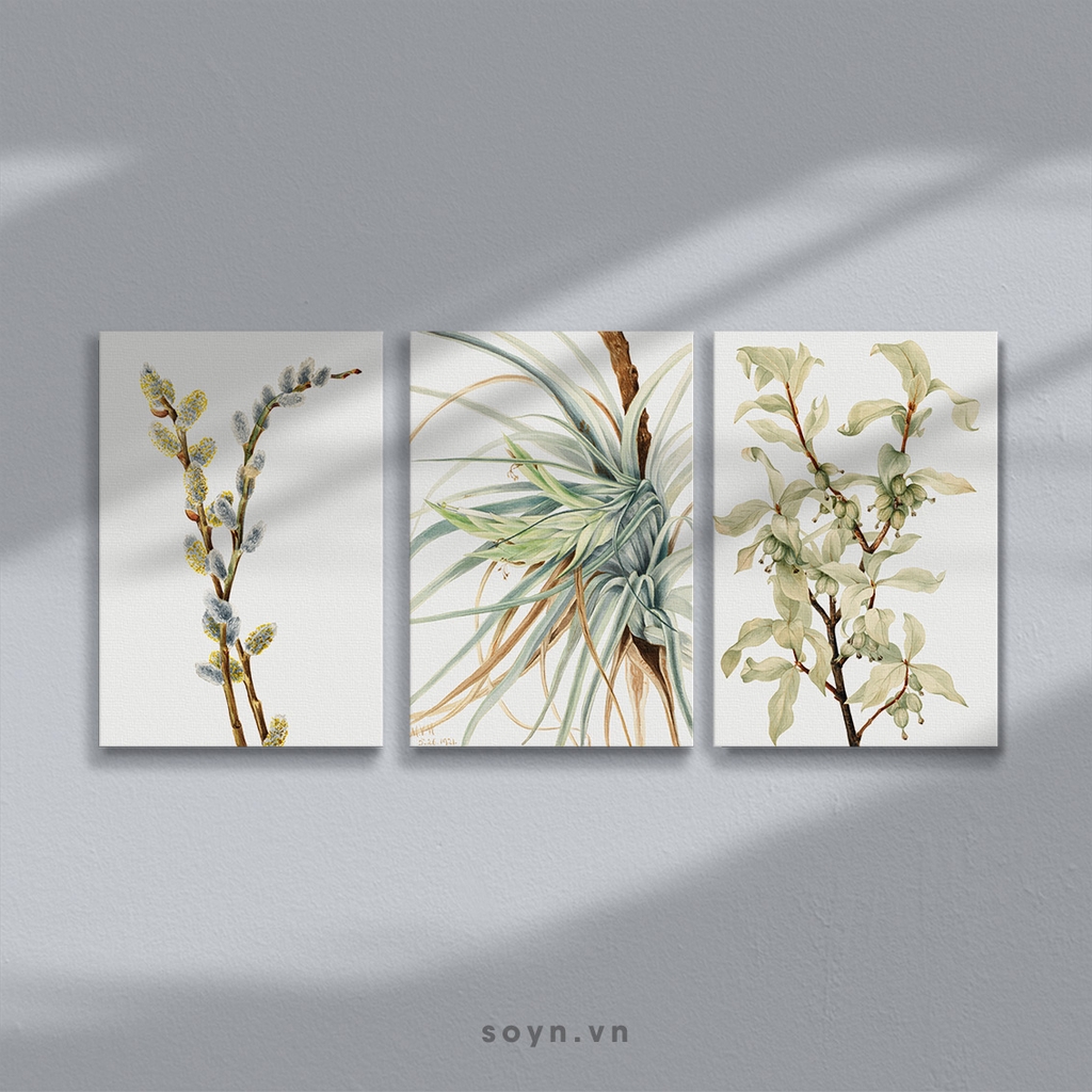 Bộ tranh Leaves, Botanical, Flower, Classic, Green, SE482