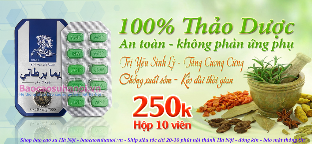 hình-ảnh-thuốc-ngựa-thái-chính-hãng