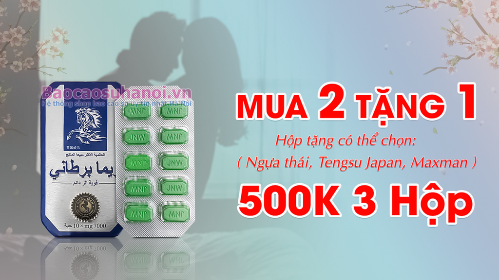 khuyến-mại-mua-2-tặng-1-ngựa-thái