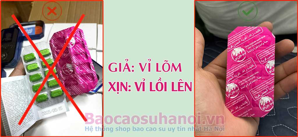 phân-biệt-thuốc-ngựa-thái-giả--thật