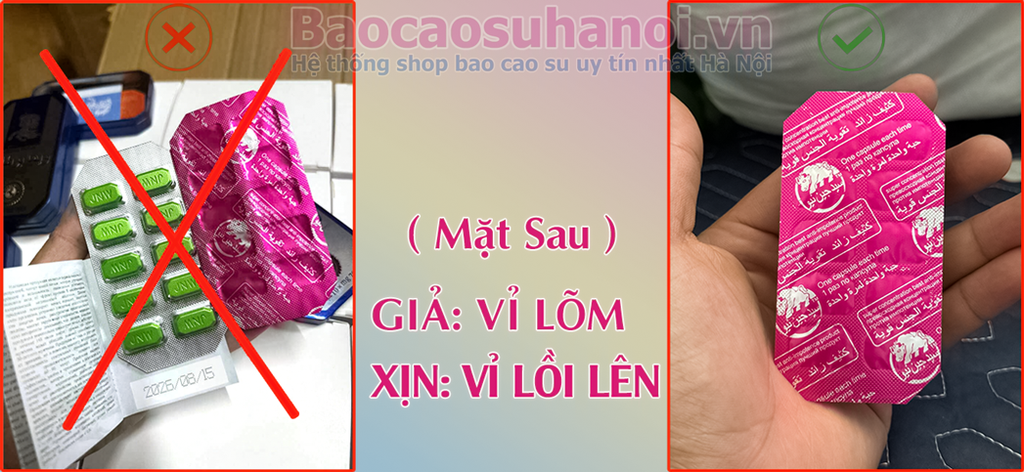 phân-biệt-thuốc-ngựa-thái-thật-và-giả