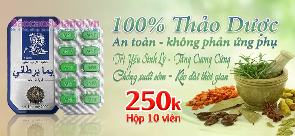 thuốc-ngựa-thái-ở-hoàng-mai