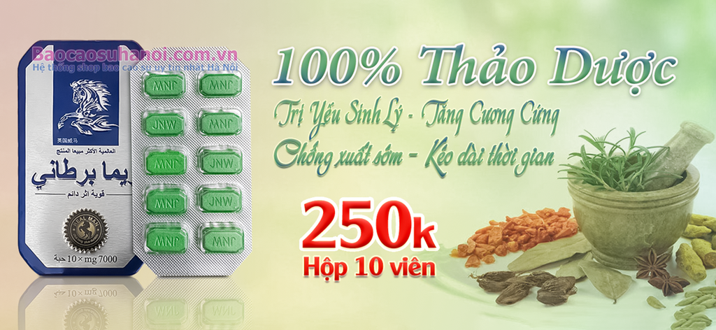thuốc-ngựa-thái-chính-hãng-ở-tây-hồ