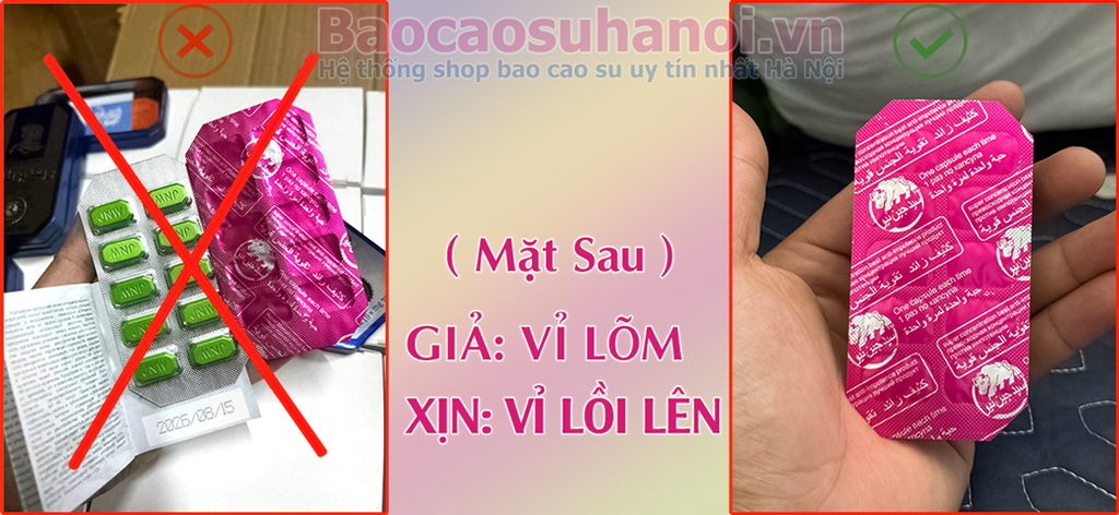 thuốc-ngựa-thái-giả