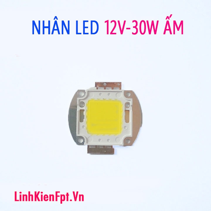 Led Công Suất 12V 30W Sáng Ấm