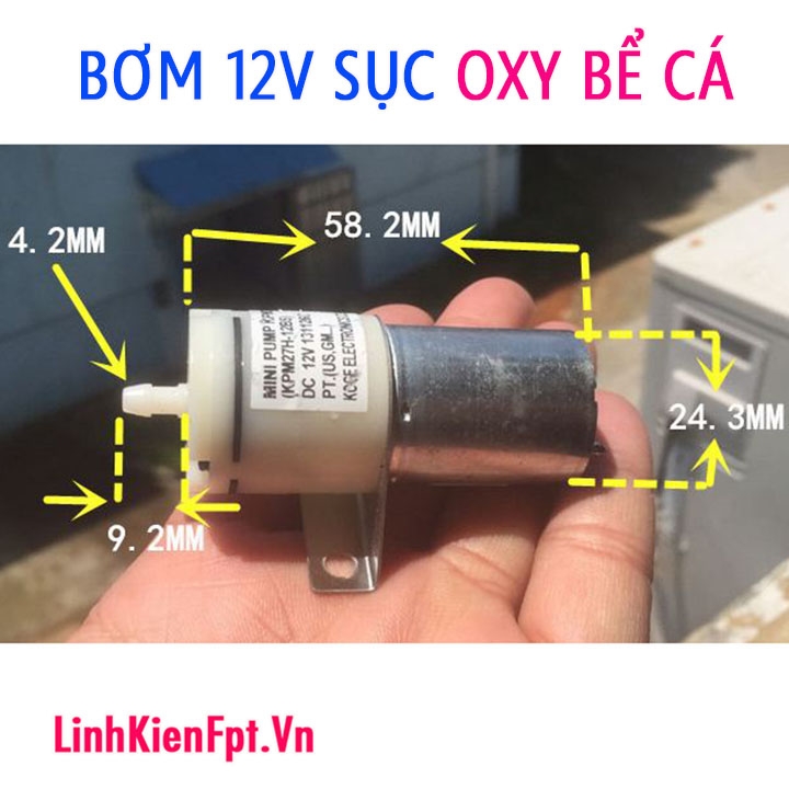 Máy bơm mini sục khí oxy bể cá