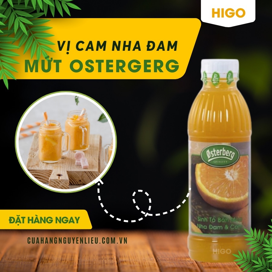 Mứt Sinh tố Cam Nha Đam Osterberg