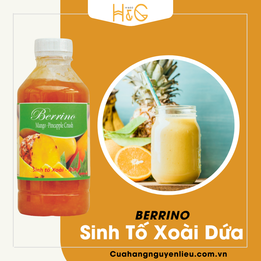 Mứt Sinh tố Xoài Dứa Berrino