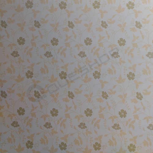 Giấy Dán Tường 1.2