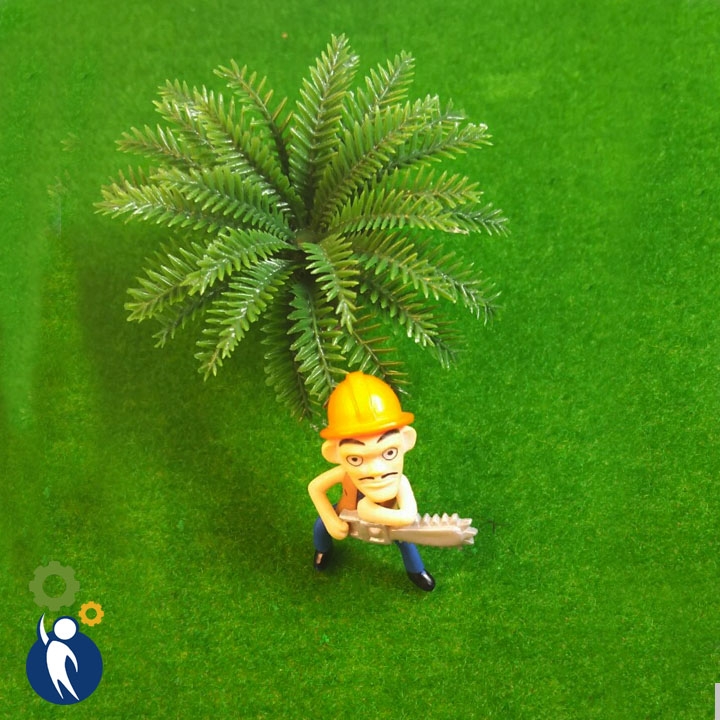 Người Cầm Cưa
