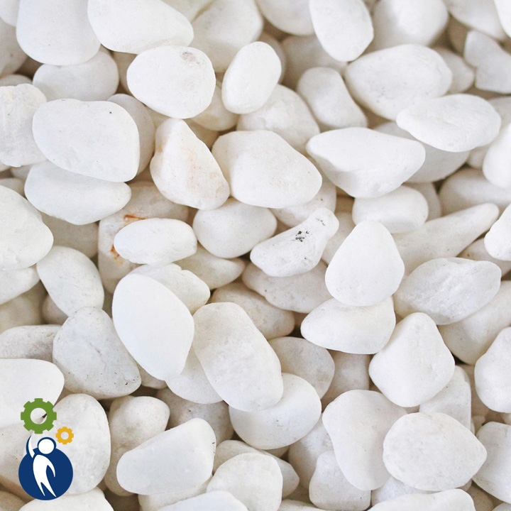 Sỏi Trắng Lớn