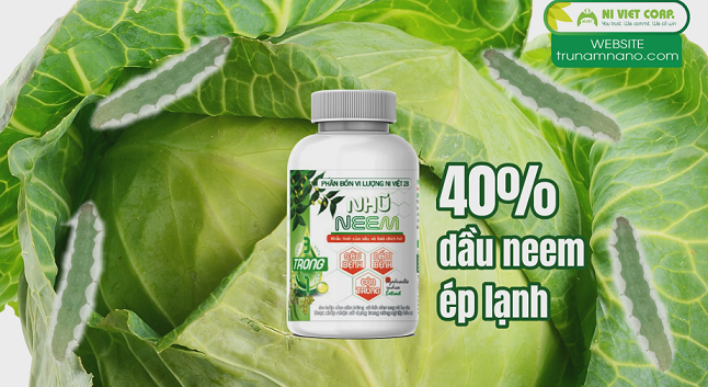 thuoc-tru-sau-sinh-hoc-nhu-neem-diet-sau-to-hai-bap-cai