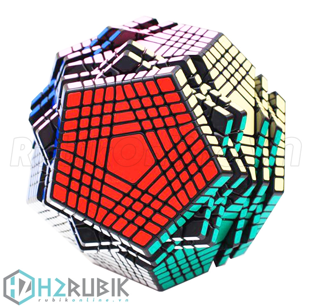 Shengshou Petaminx Cube 9x9