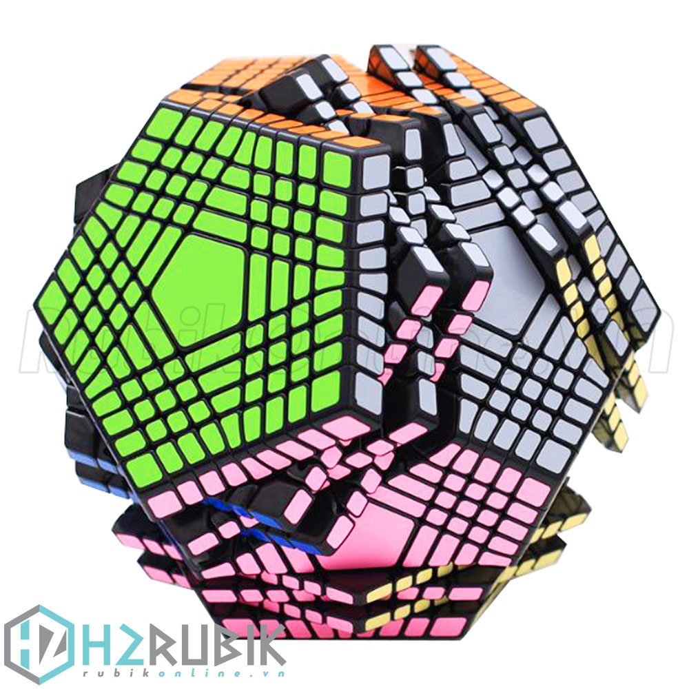 Shengshou Petaminx Cube 9x9