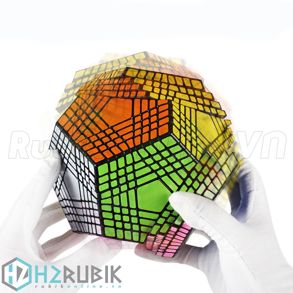 Shengshou Petaminx Cube 9x9