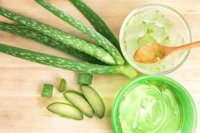 Cây thuốc quý chữa bệnh táo bón