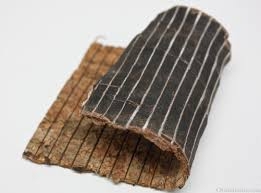 Cây Đỗ Trọng - Cây thuốc quý được mệnh danh là THẦN DƯỢC trong Đông Y... Nhận dạng cây thuốc