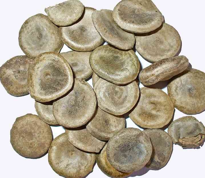 Chế biến Mã tiền