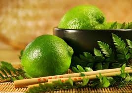 Những công dụng ít biết từ quả Chanh