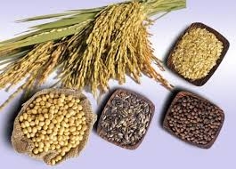 Dinh dưỡng giúp trẻ phát triển chiều cao