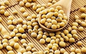 Đậu tương chữa bệnh