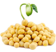 Đối phó với trầm cảm ở phụ nữ mãn kinh