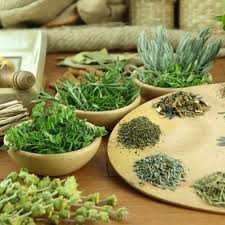 Cách kê đơn thuốc Nam trị bệnh (phần 2)