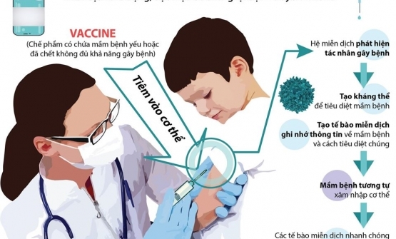 Bộ Y tế và WHO hướng dẫn: Khi nào nên tiêm vắc xin?