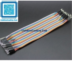 Dây bus 40P 20CM (40 sợi)