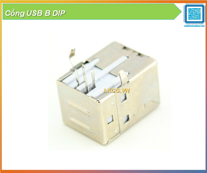 Cổng USB B DIP