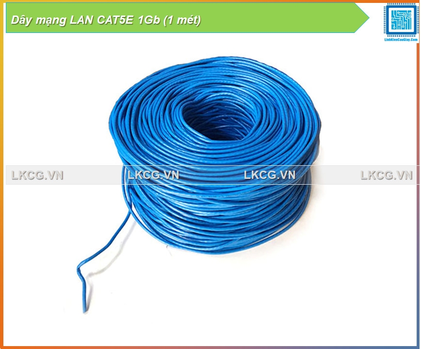 Dây mạng LAN CAT5E 1Gb (1 mét)