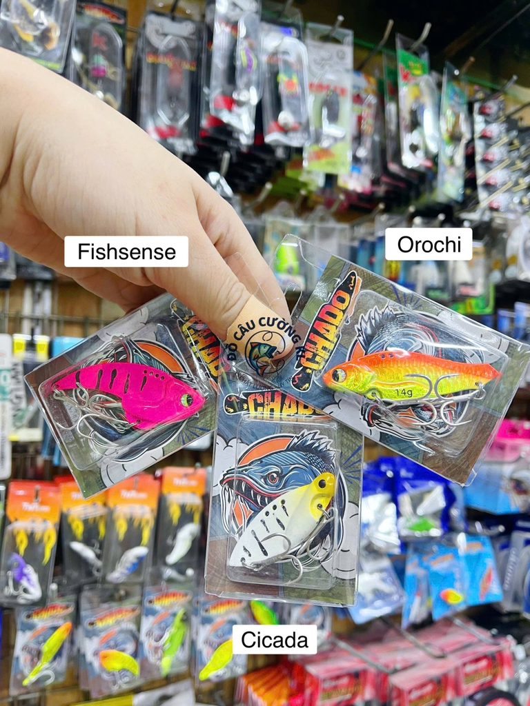 Cá sắt Chado Orochi