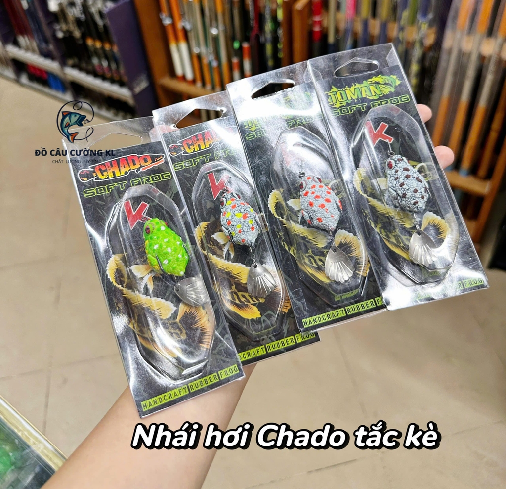 Nhái hơi Chado Tắc kè