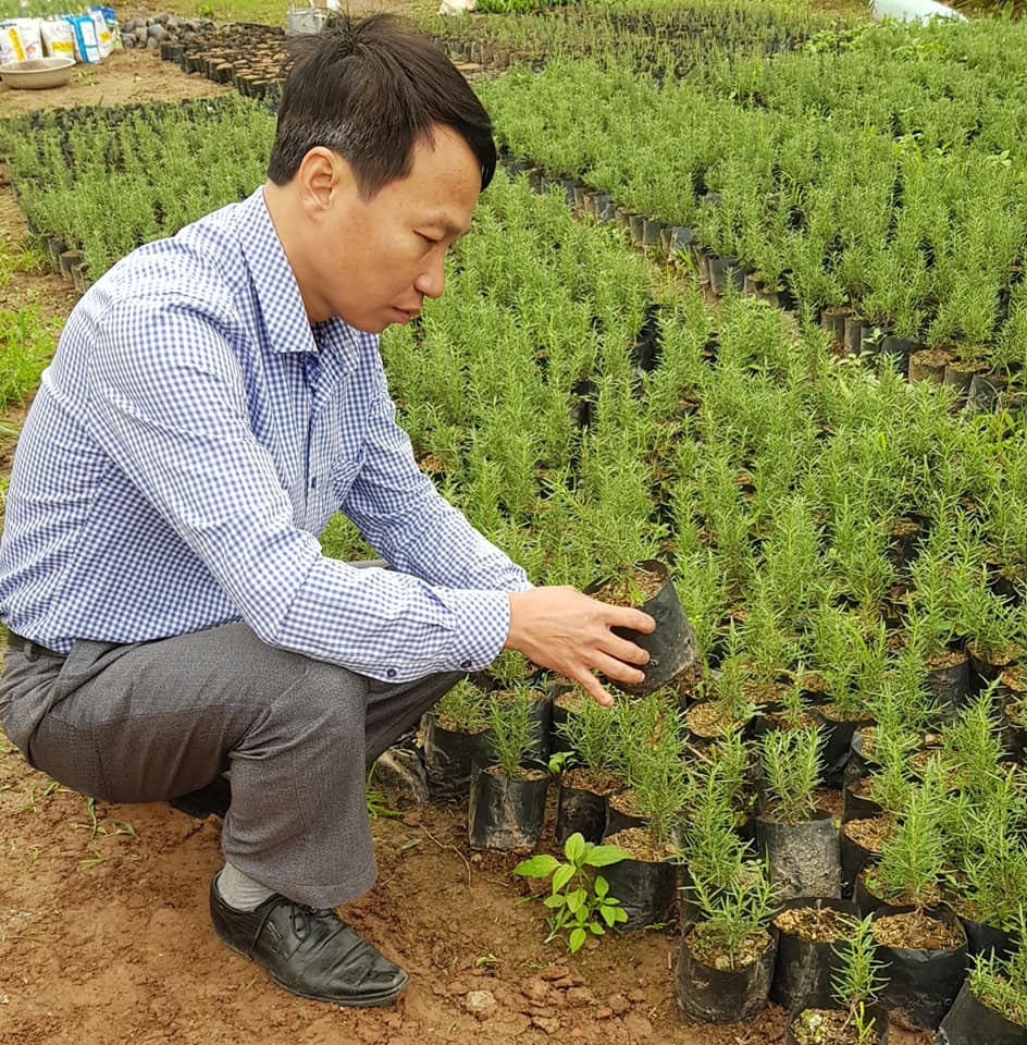 tinh-dau-huong-thao-cham-soc-toc