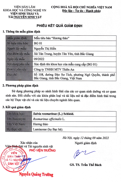 giam-dinh-cay-huong-thao-cua-cong-ty-tnhh-mtv-thien-an