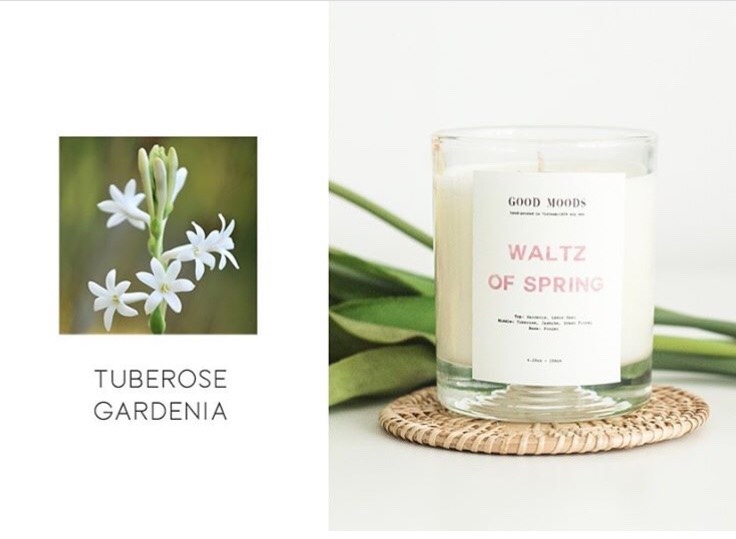 Nến Waltz of Spring size S