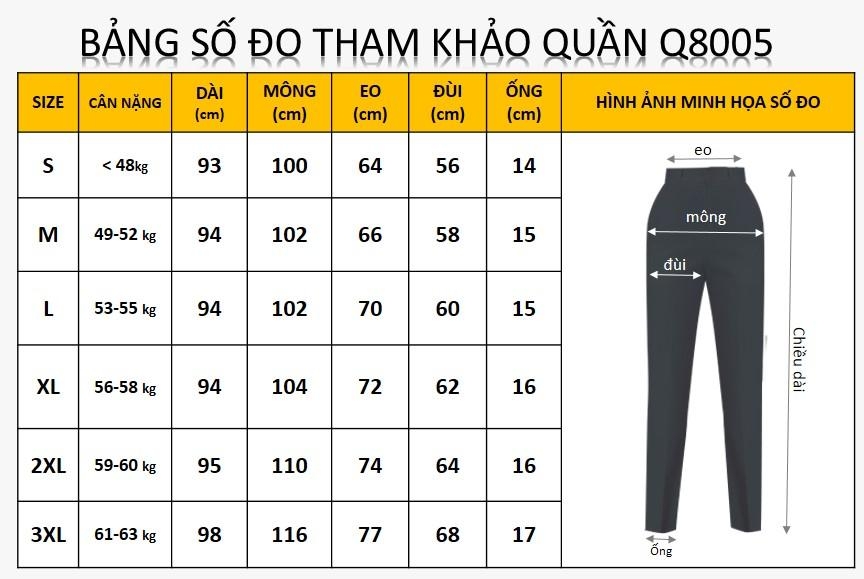 Quần Baggy Lụa 2N Q8005